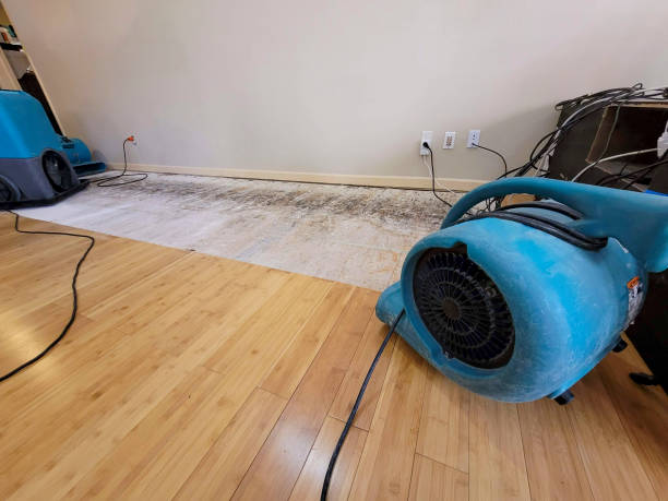 Professional Water Damage Repair technician working in Farmington, UT